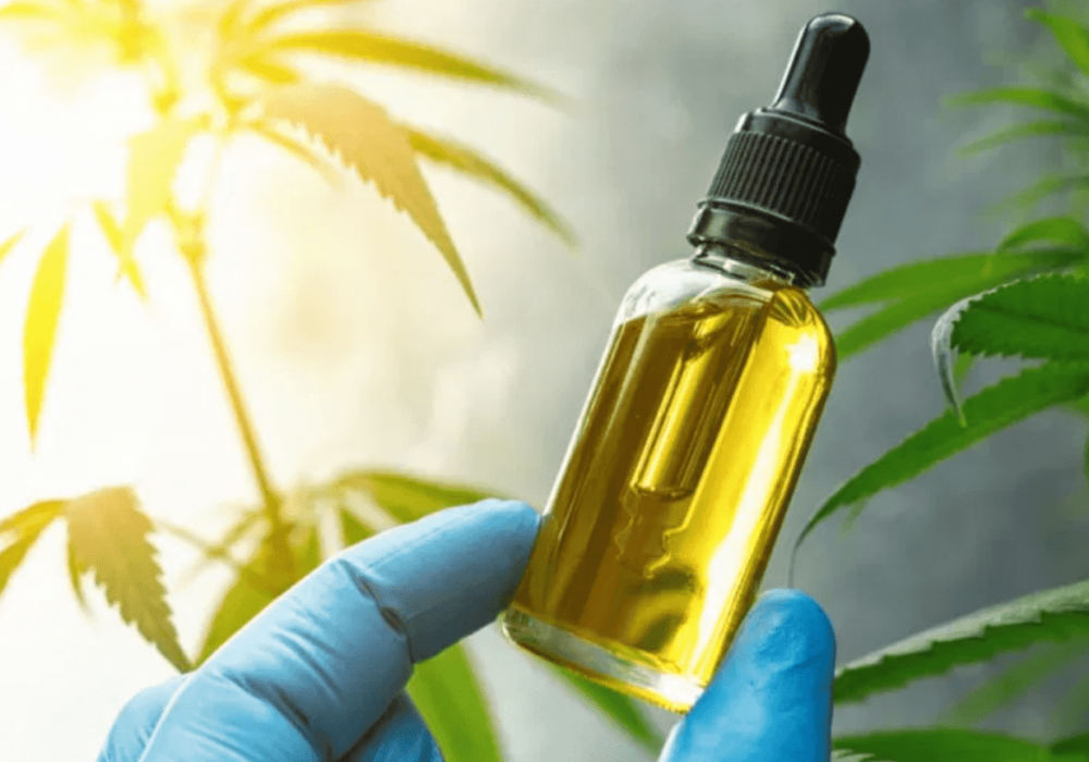 CBD-For-Epilepsy CBD-For-Epilepsy